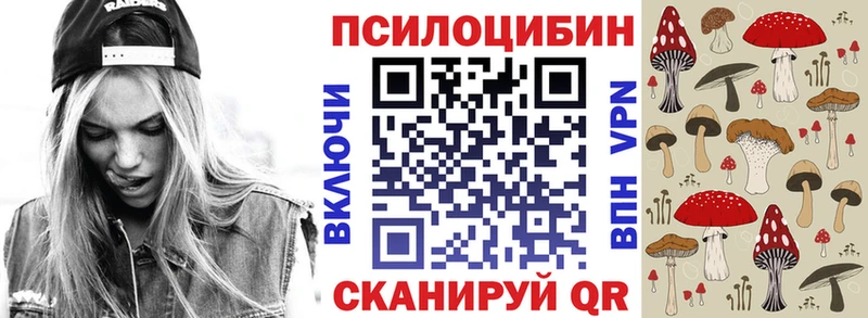 Псилоцибиновые грибы Psilocybe Дно