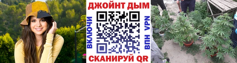 Бошки марихуана планчик  Дно 